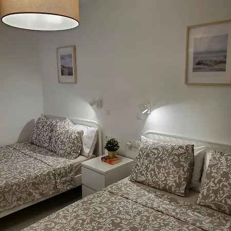 In Comfortable Sea & トレビエハ