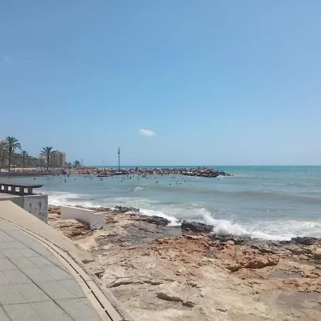 In Comfortable Sea & 托雷维耶哈